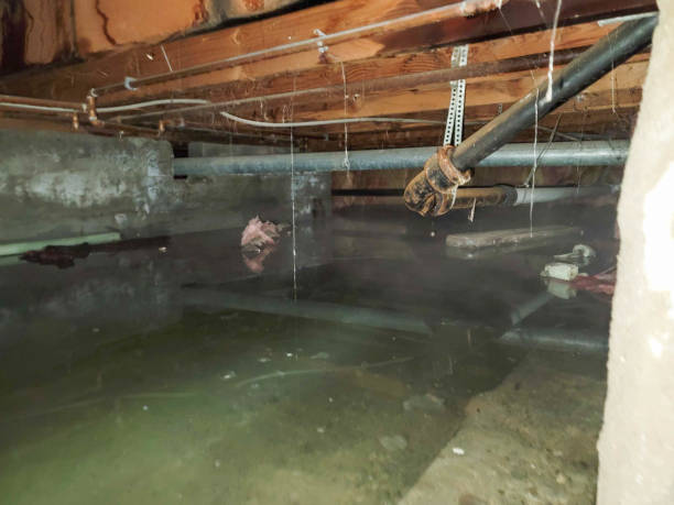  Fairmont, MN Water damage restoration Pros