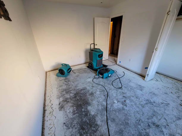Best Professional water damage repair  in Fairmont, MN