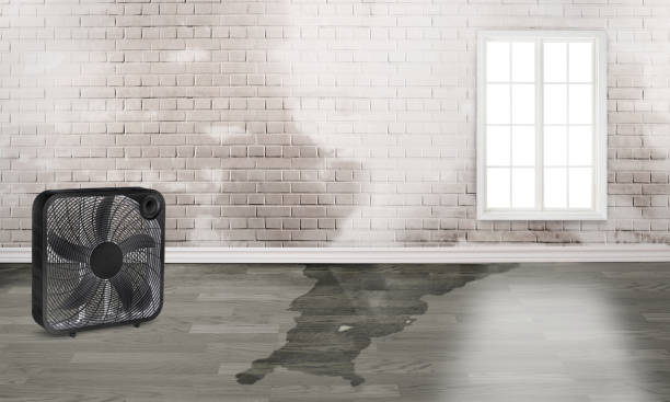 Best 24/7 water damage repair  in Fairmont, MN