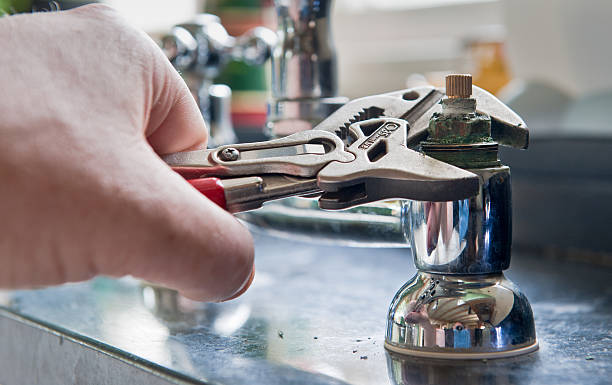 Best Professional water damage repair  in Fairmont, MN