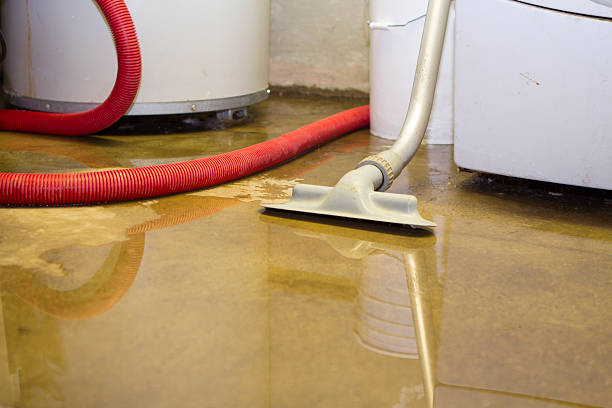 Best Basement water damage restoration  in Fairmont, MN