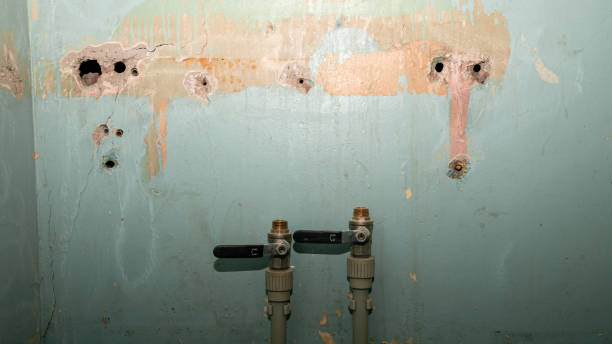 Best Local water damage restoration  in Fairmont, MN