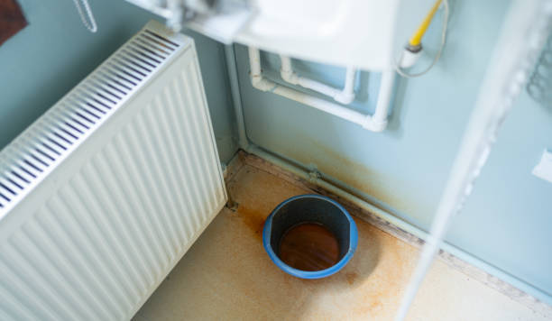 Best Water damage restoration specialists  in Fairmont, MN