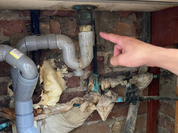 Best Flood restoration services  in Fairmont, MN