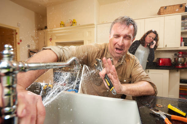 Best Basement water damage restoration  in Fairmont, MN